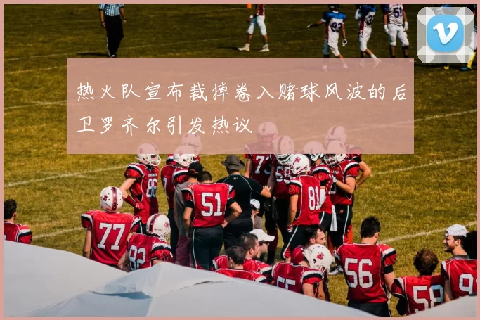 热火队宣布裁掉卷入赌球风波的后卫罗齐尔引发热议